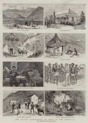 De recente goudontdekkingen in de Transvaal